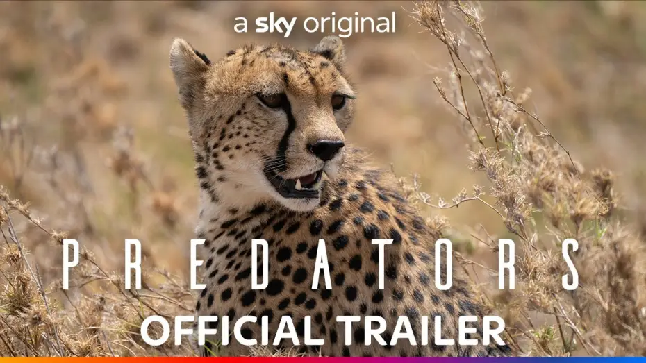Wideo do serialu Drapieżniki — Official Trailer