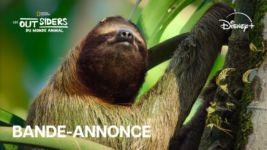Wideo do serialu Silni wbrew naturze — Les outsiders du monde animal - Bande-annonce officielle [VF]