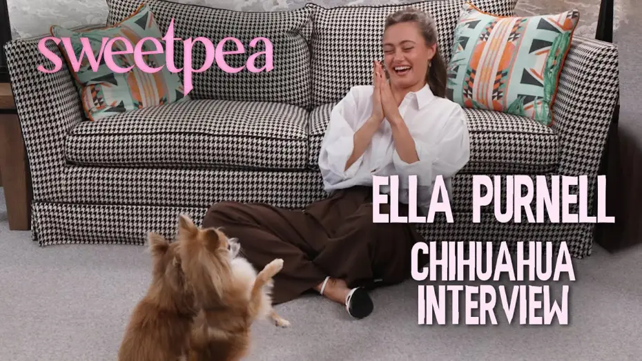 Wideo do serialu Złotko — Ella Purnell's CHAOTIC interview with Chihuahuas