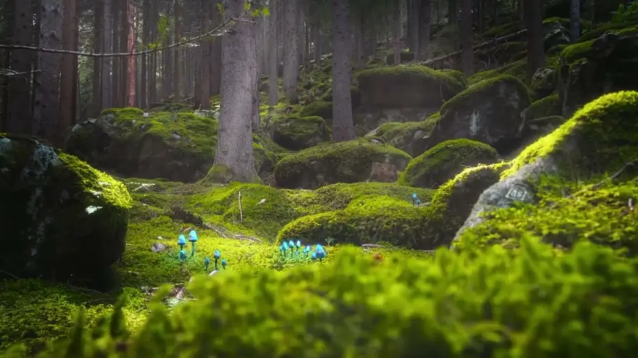 Wideo do serialu Częste skutki uboczne — Nature Bump #1