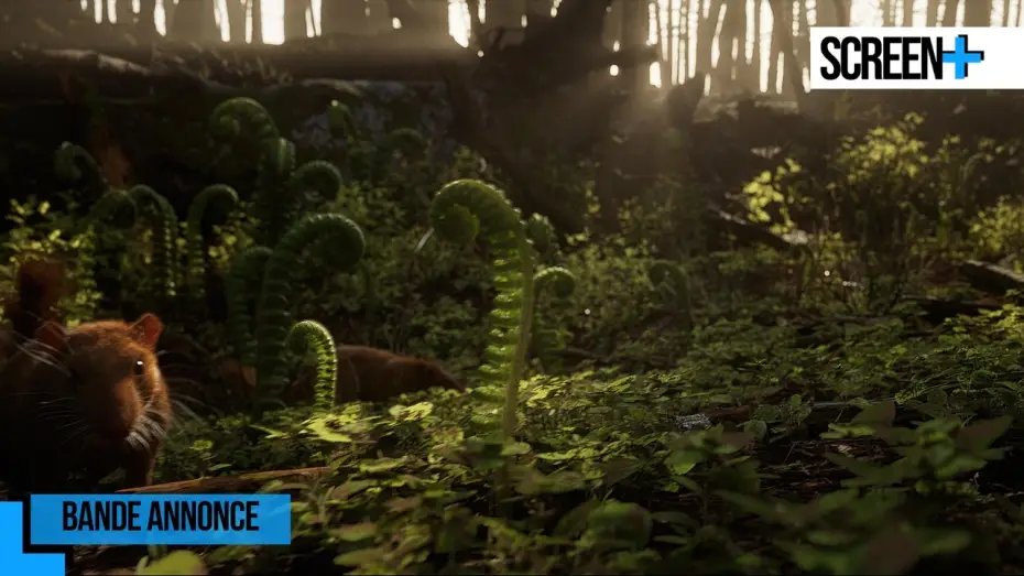 Wideo do serialu Ziemia — Les 5 vies de la Terre sur France 5
