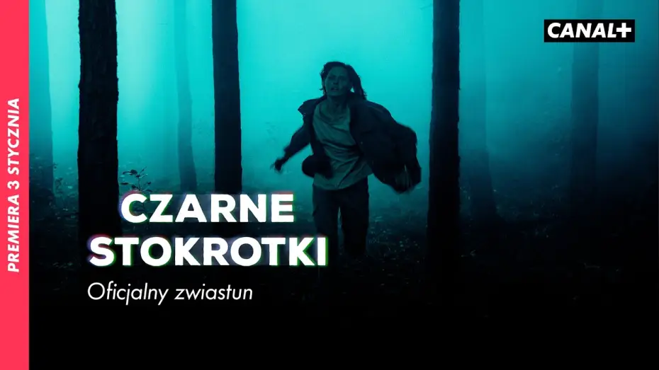 Wideo do serialu Czarne Stokrotki — Nowy serial CANAL+ | Od 3 stycznia