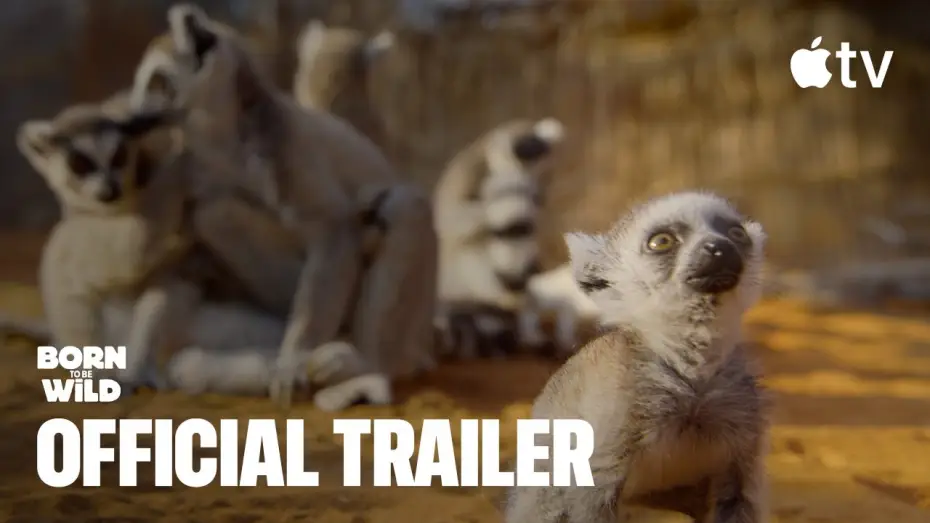 Wideo do serialu Dzikie z natury — Official Trailer