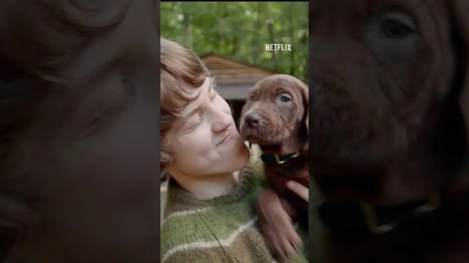 Wideo do serialu Scooby-Doo: Origins — Présentation de Scooby-Doo