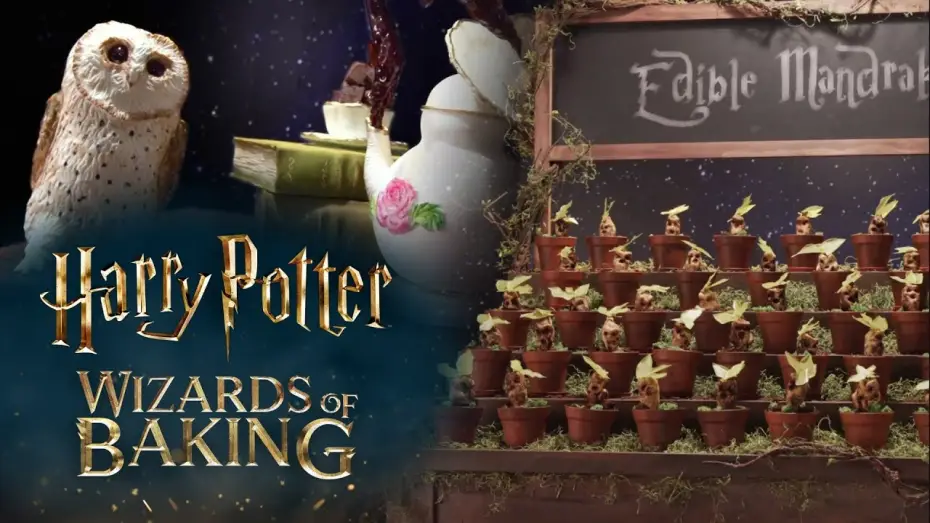 Видео к сериалу Harry Potter: Magiczne wypieki — Announcement