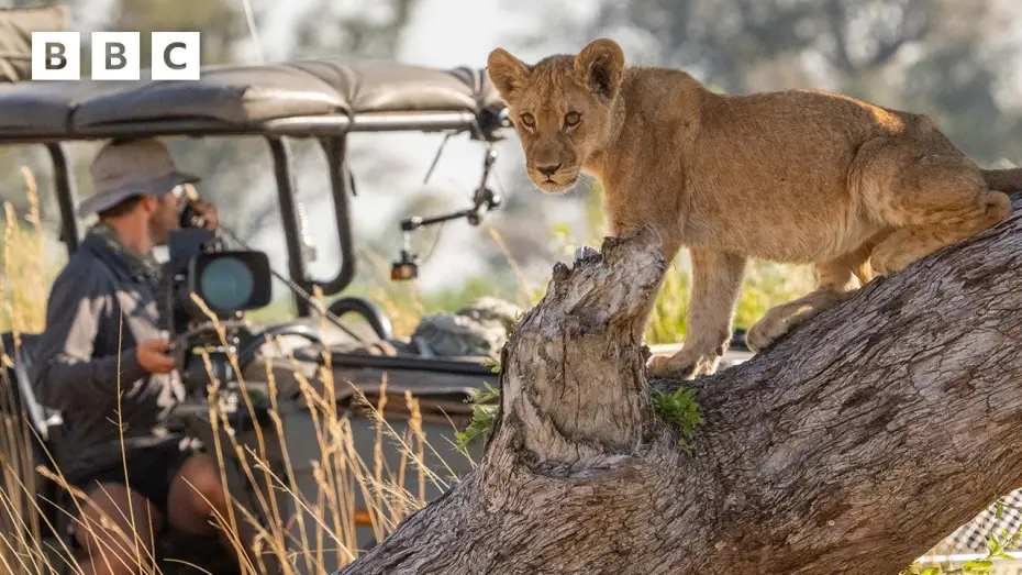 Wideo do serialu Big Cats 24/7 — Behind the scenes with the Big Cats 24/7 film crew