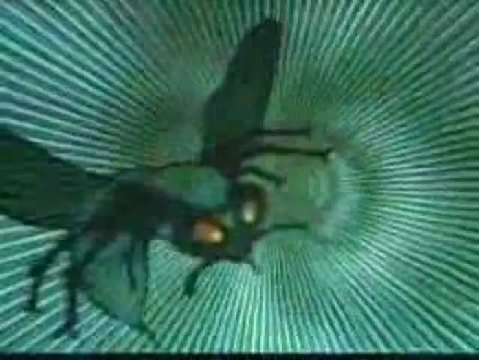 Wideo do serialu Zielony Szerszeń — Green Hornet Open