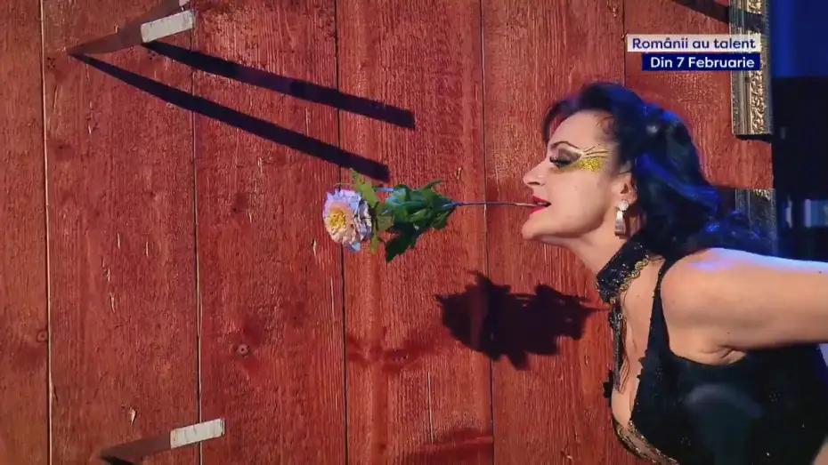 Wideo do serialu Românii au talent — Românii au talent, din 7 februarie la PRO TV