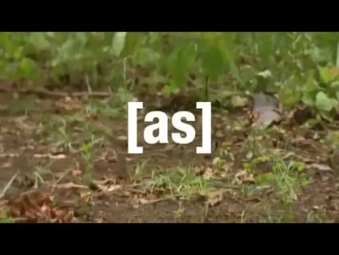 Wideo do serialu Poza anteną — Adult Swim Promos - Off The Air