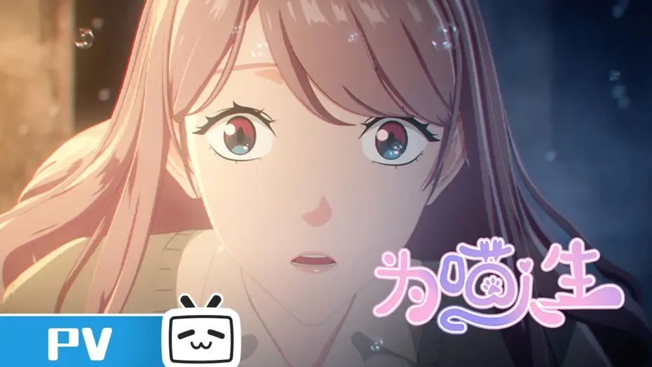 Wideo do serialu 为喵人生 — 《为喵人生》 定档PV上线 | Made By Bilibili