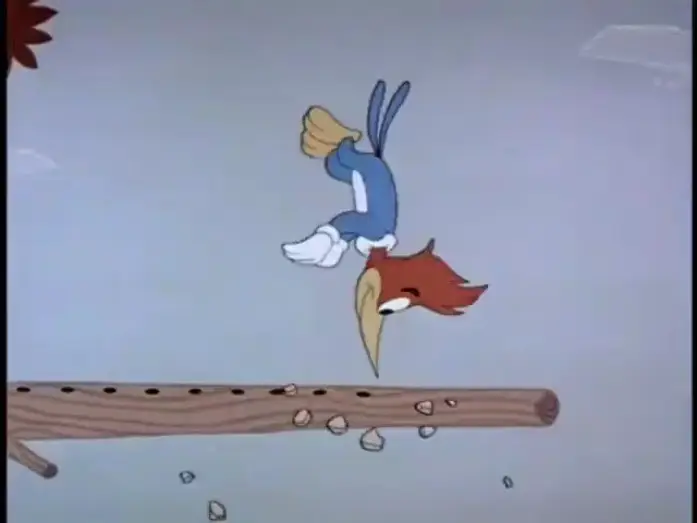Wideo do serialu Show Dzięcioła Woody'ego — The Woody Woodpecker show 1960-1969
