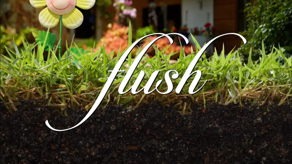 Wideo do serialu Flush — Adult Shorts Series FLUSH: Teaser [E004-006]