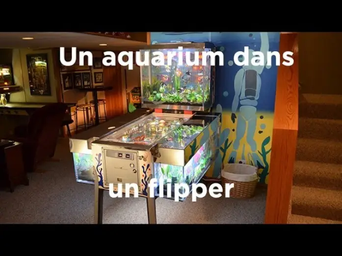 Wideo do serialu Projekt  Akwarium — Un aquarium dans un flipper : Aquamen