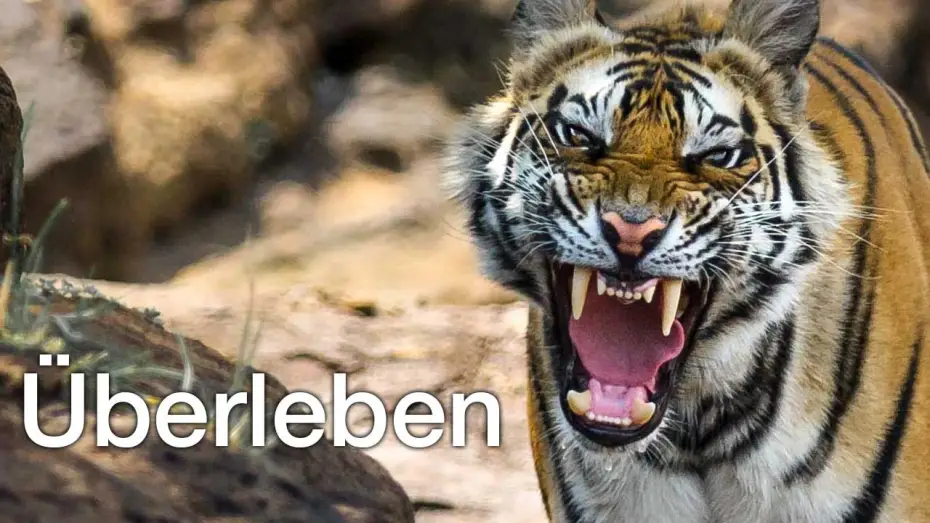 Wideo do serialu Opowieść o życiu — Überleben - Trailer [HD] Deutsch / German
