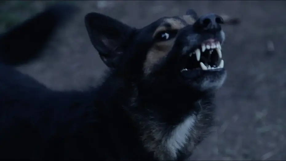 Wideo do serialu Strzeż się sąsiada — FEAR THY NEIGHBOR 4x05 – "Pack Mentality" – Teaser
