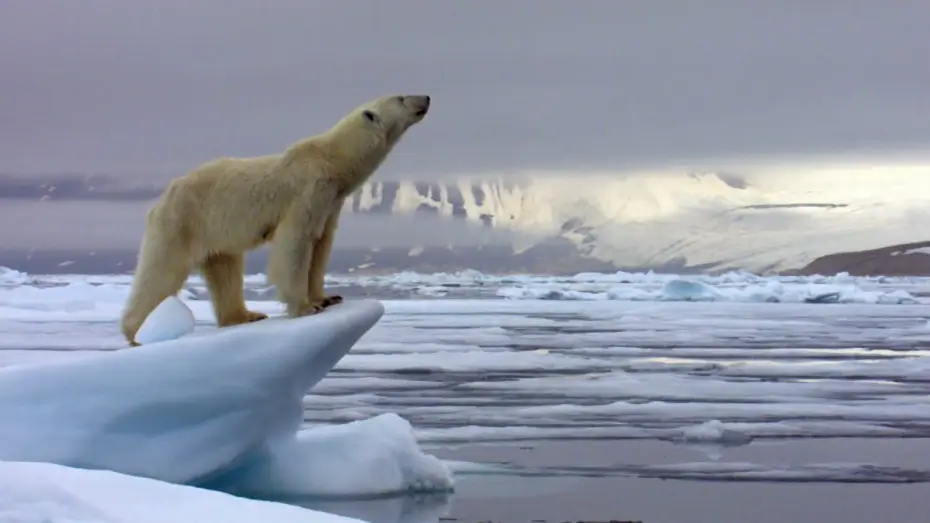 Wideo do serialu Łowcy — The Hunt: Trailer - BBC One
