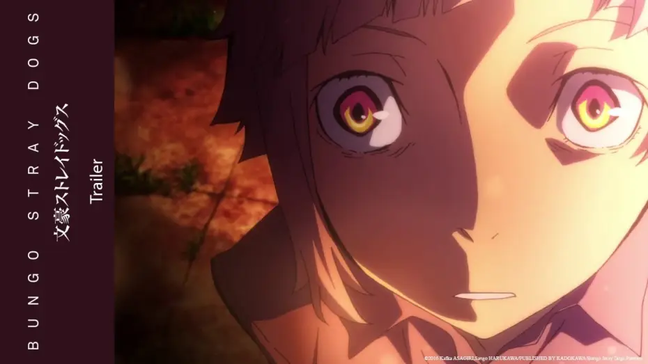 Wideo do serialu Bungou Stray Dogs – Bezpańscy literaci — [Trailer] Bungo Stray Dogs Saison 1