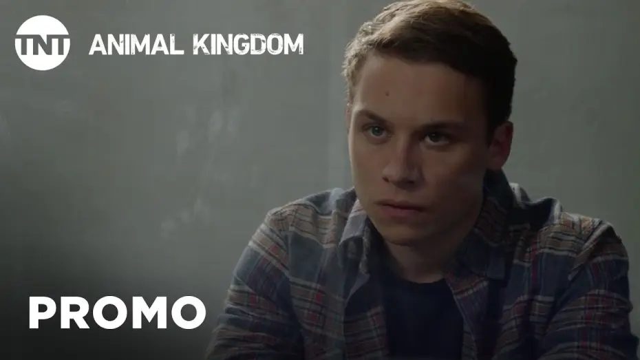 Wideo do serialu Królestwo zwierząt — Animal Kingdom: Shock - Season 3 Premieres This Summer [PROMO] | TNT