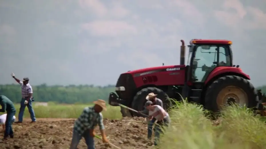 Wideo do serialu Queen Sugar — Queen Sugar on OWN Premieres September 7th