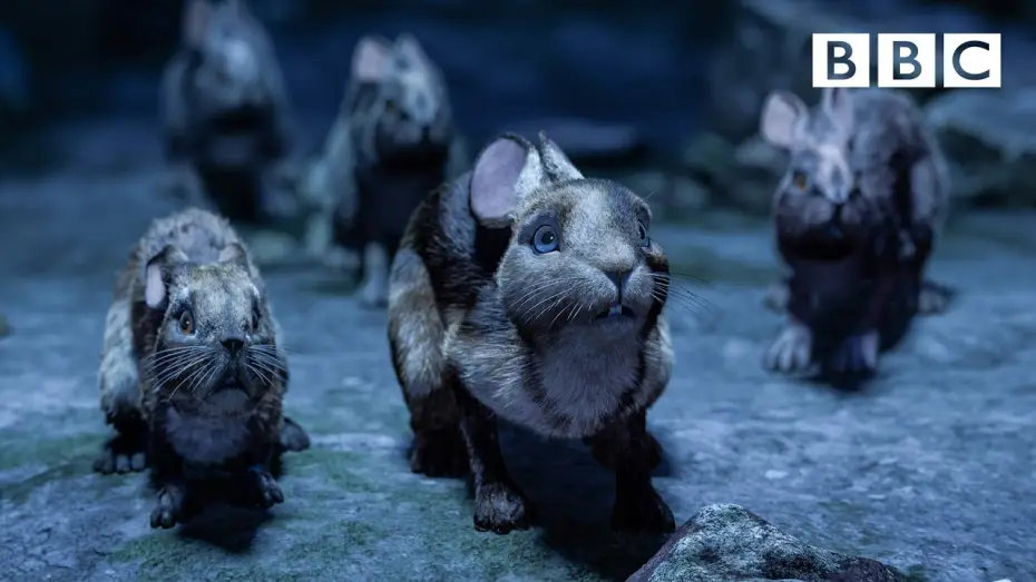 Wideo do serialu Wodnikowe Wzgórze — Watership Down's brave rabbits make a daring escape - BBC