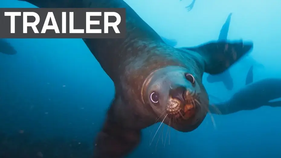 Видео к сериалу Planeta Ziemia II — Blue Planet II Official Trailer 2 | BBC Earth