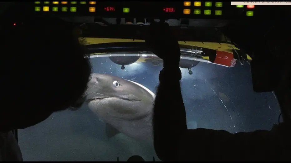 Видео к сериалу Planeta Ziemia II — Sharks Attack Submarine | Blue Planet II Behind The Scenes