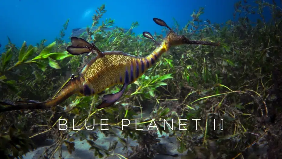 Wideo do serialu Błękitna planeta II — Blue Planet II: Official Trailer