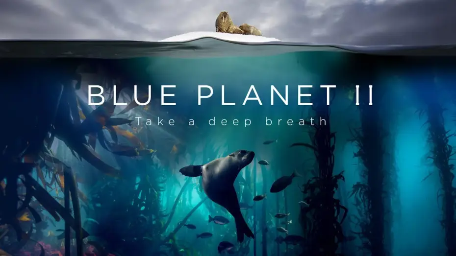 Wideo do serialu Błękitna planeta II — Blue Planet II : The Prequel