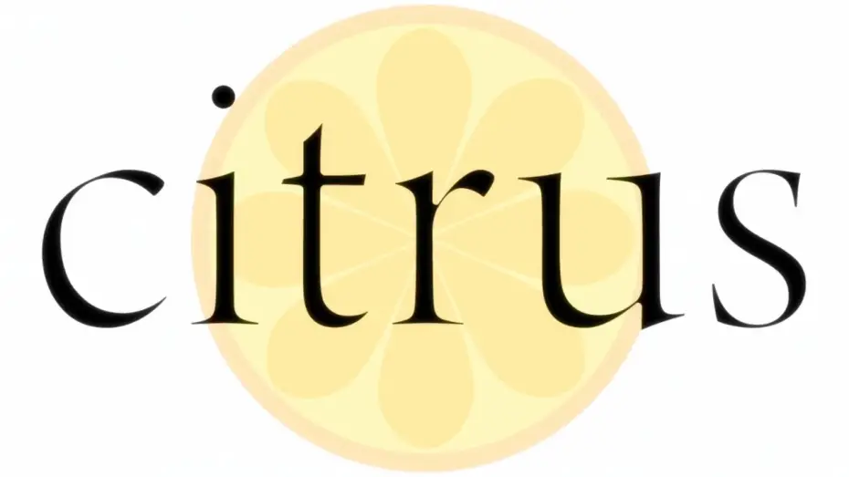 Wideo do serialu Citrus — Opening | Azalea - nano.RIPE