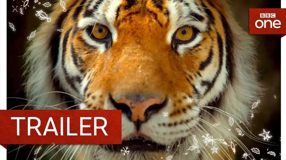 Wideo do serialu Wielkie koty — Big Cats: Trailer - BBC One
