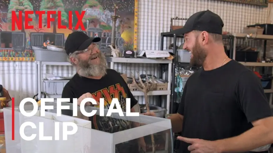 Wideo do serialu Porady różowej brygady — Season 8 - Happy Talents