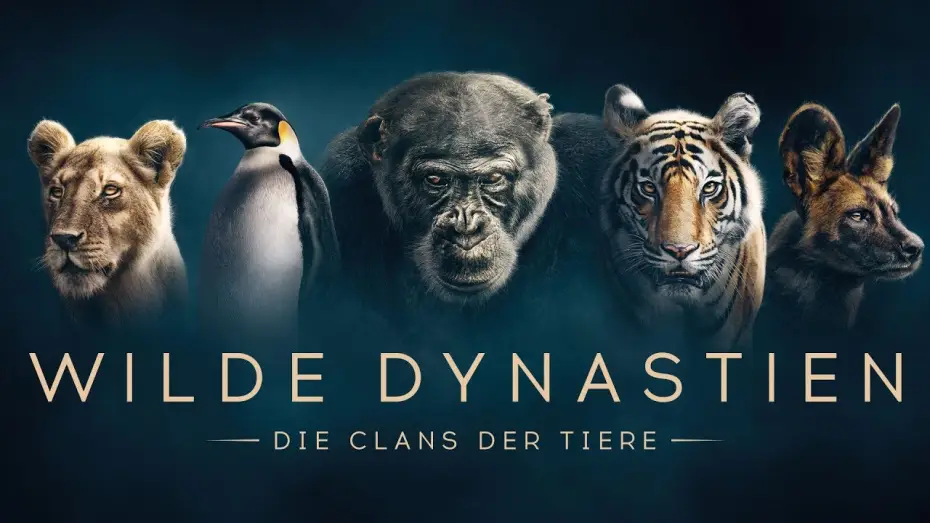 Видео к сериалу Dynastie — WILDE DYNASTIEN - Die Clans der Tiere - Trailer [HD] Deutsch / German