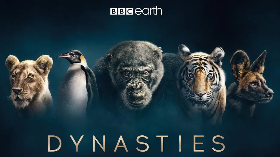 Видео к сериалу Dynastie — Dynasties: First Look Trailer | New David Attenborough Series | BBC Earth