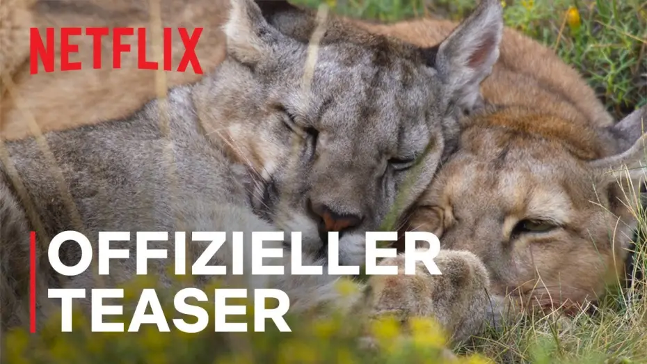 Wideo do serialu Nasza planeta — Offizieller Teaser