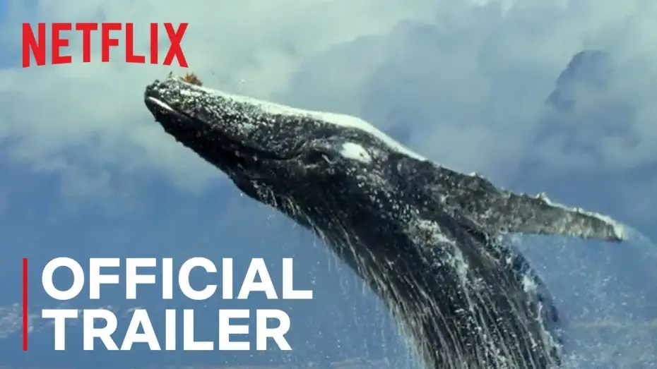 Wideo do serialu Nasza planeta — Our Planet | Official Trailer [HD] | Netflix