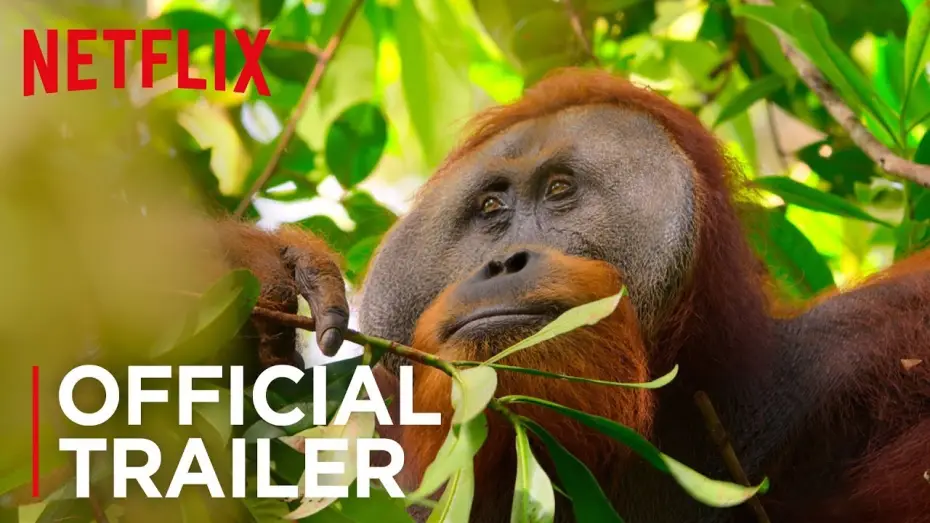 Wideo do serialu Nasza planeta — Our Planet | Official Teaser [HD] | Netflix