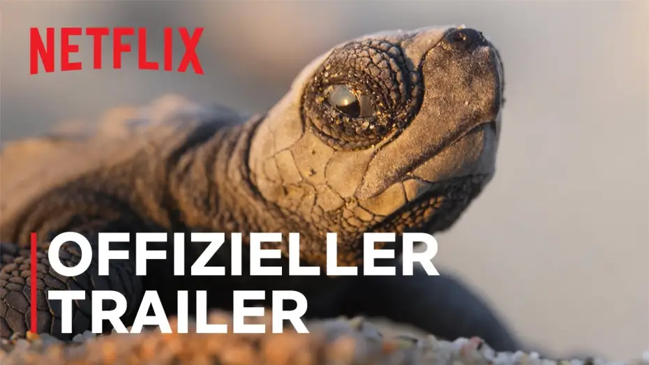 Wideo do serialu Nasza planeta — Offizieller Trailer