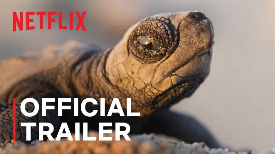 Wideo do serialu Nasza planeta — Our Planet II Official Trailer