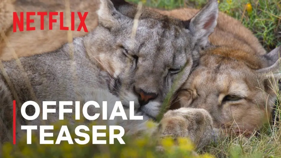 Wideo do serialu Nasza planeta — Our Planet II Official Teaser