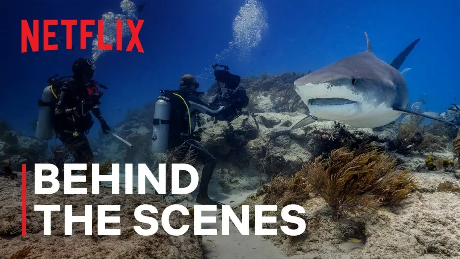 Wideo do serialu Nasza planeta — Our Planet II Behind the Scenes
