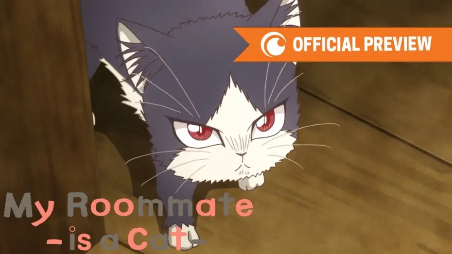 Wideo do serialu Doukyonin wa Hiza, Tokidoki, Atama no Ue — My Roommate is a Cat | OFFICIAL PREVIEW