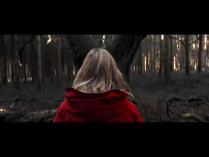 Wideo do serialu Granica zbrodni — Der Pass – Trailer