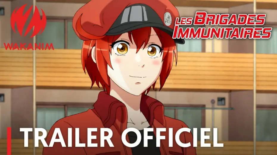 Wideo do serialu Hataraku Saibou — Les Brigades Immunitaires - Bande Annonce #2 [VOST]