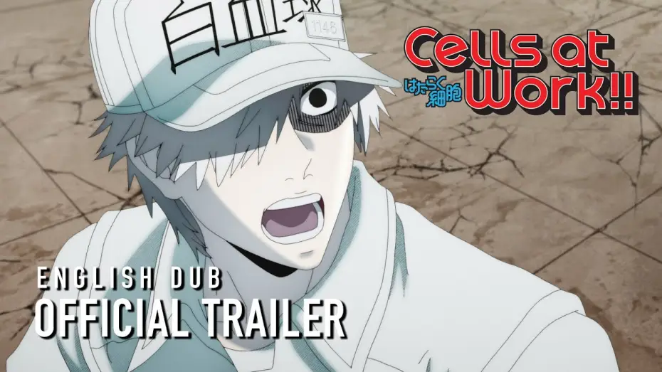 Wideo do serialu Hataraku Saibou — Cells at Work!! English Dub Trailer