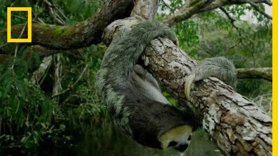 Wideo do serialu Wrogie środowisko — Welcome to Hospitable Planet | National Geographic