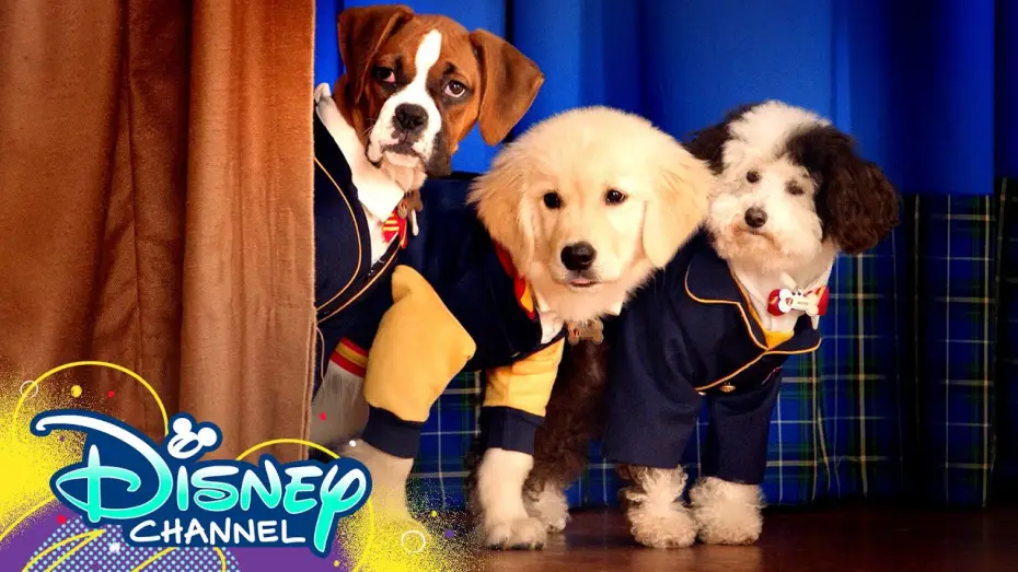 Видео к сериалу Psia Akademia — Theme Song 🎶 ft. Dakota Lotus | Pup Academy | Disney Channel