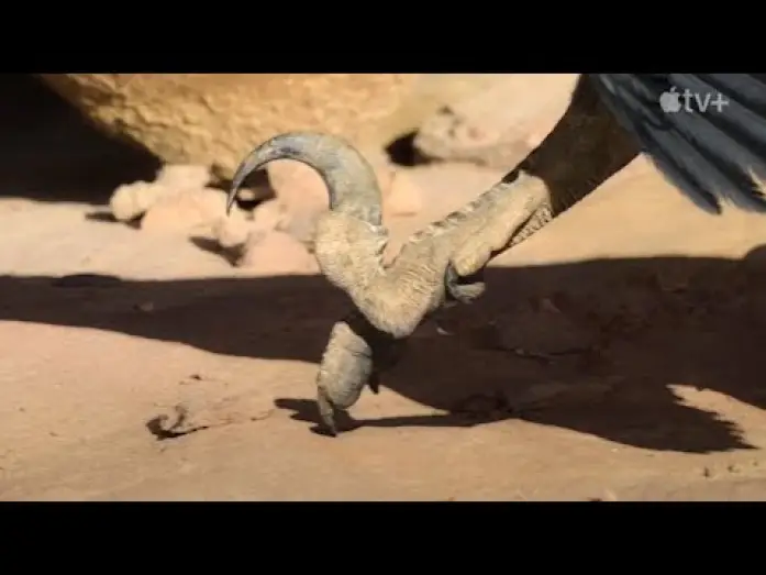 Видео к сериалу Prehistoryczna planeta — Prehistoric Planet (MAGNIFICENT) - Trailer en Español