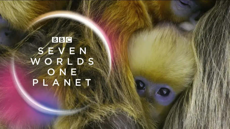 Wideo do serialu Siedem Światów Jedna Planeta — Seven Worlds, One Planet: Extended Trailer (ft Sia and Hans Zimmer) | New David Attenborough Series