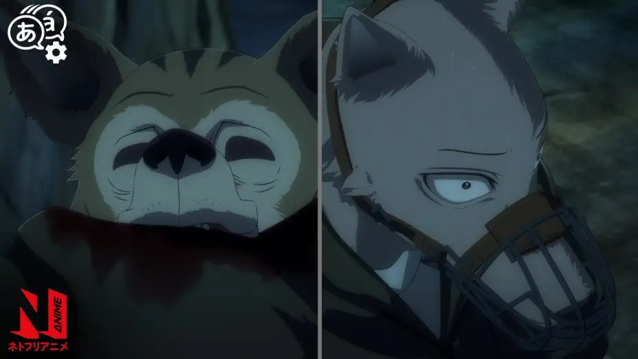 Wideo do serialu BEASTARS — Legoshi's Intense Hyena Battle | BEASTARS | Clip | Netflix Anime