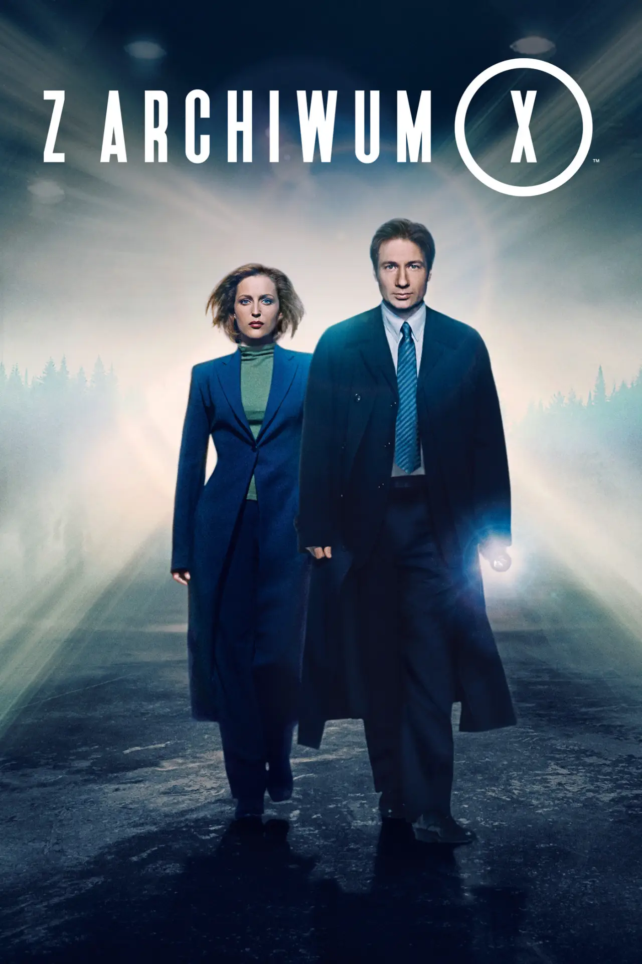 Постер к сериалу "Z Archiwum X"
